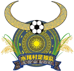 水尾村足球队