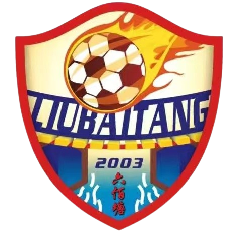 六佰塘村足球队